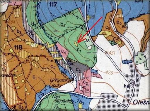 olesna_porost.jpg (70226 bytes)
