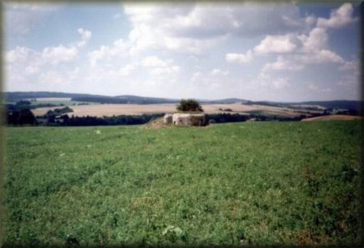LO_slavonicko_01.jpg (34449 bytes)