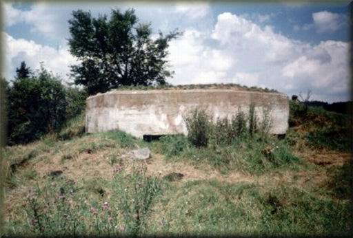 LO_slavonicko_07.jpg (41305 bytes)