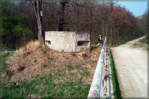LO_u dyje_01.jpg (54805 bytes)