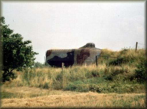 MJ-S-02_Uvoz_02.jpg (32547 bytes)