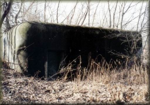 B-SV-04a.jpg (47945 bytes)