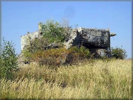 viktorka-3.jpg (95595 bytes)