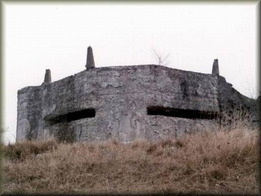 vitezna2.jpg (33656 bytes)