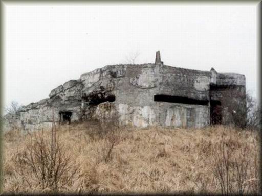 viktorka-5.jpg (35000 bytes)
