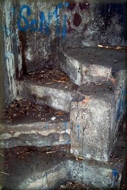 liskovec_20.jpg (32160 bytes)