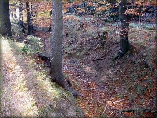 sussky-kanal_16.jpg (77939 bytes)