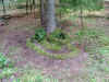 2006_DSCF6049.JPG (105729 bytes)