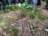 2006_DSCF6052.JPG (106957 bytes)