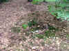 2006_DSCF6053.JPG (117800 bytes)