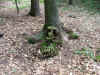 2006_DSCF6054.JPG (109525 bytes)